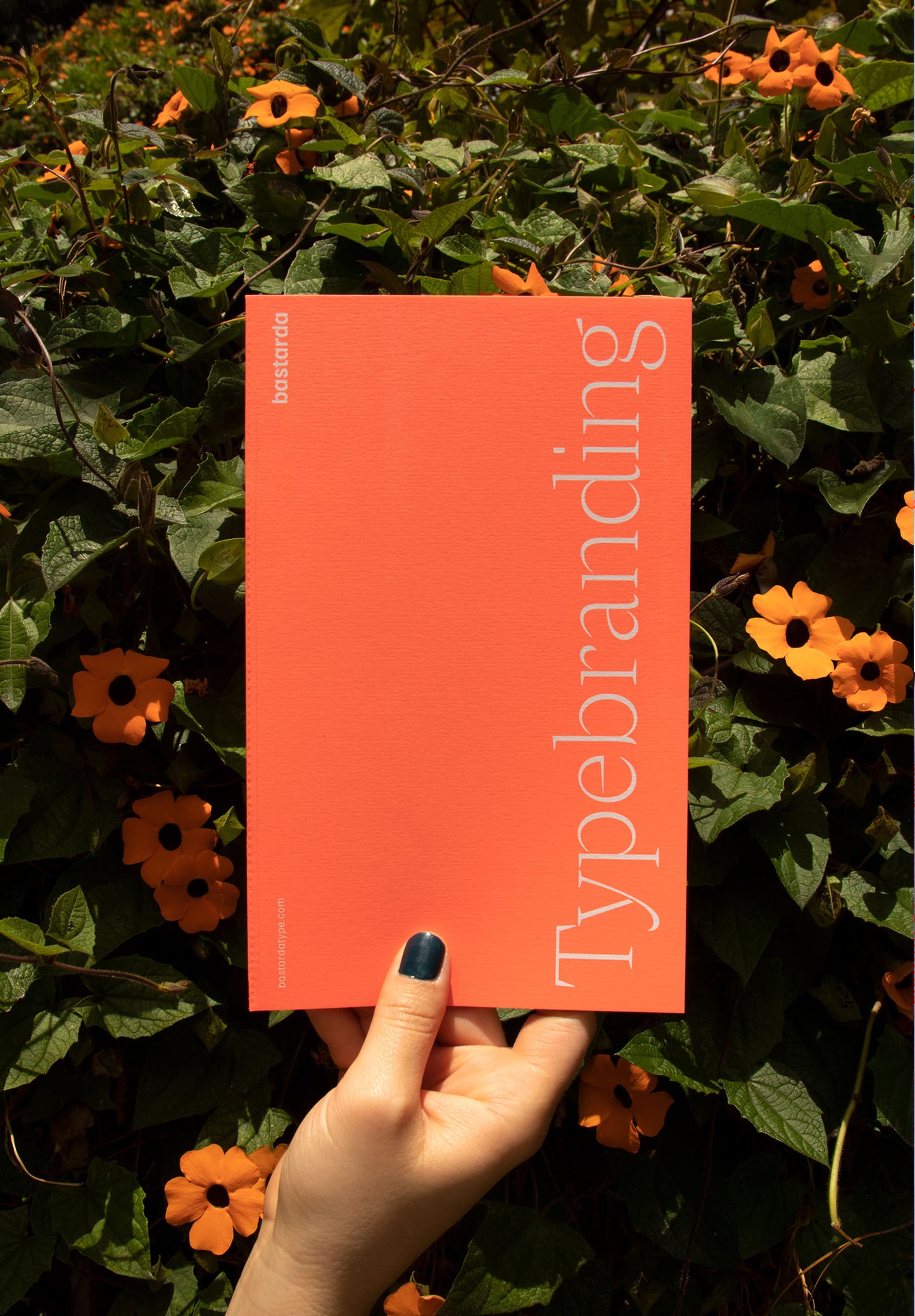 Custom logotype collection by bastardatype, cover book.