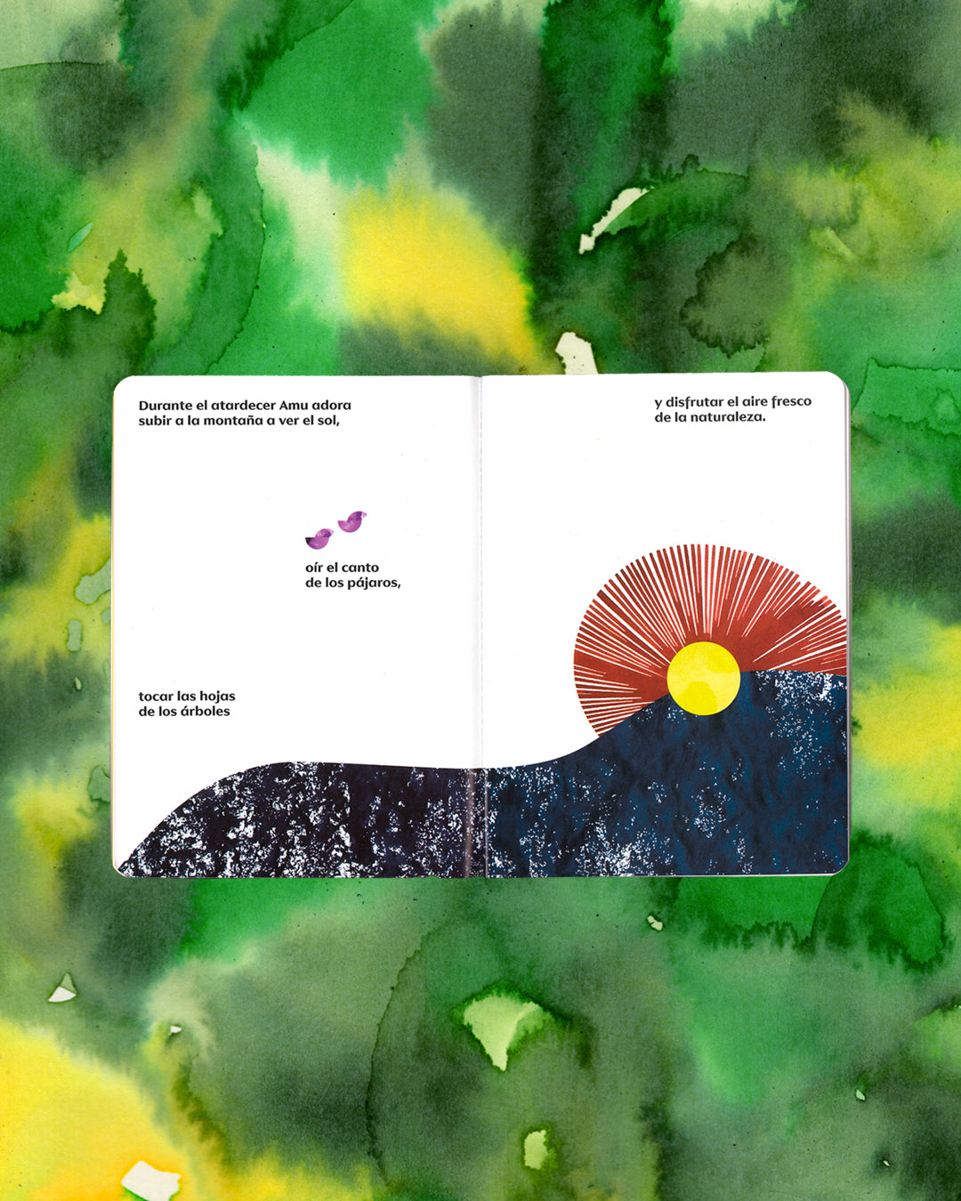 AMU - Libro álbum